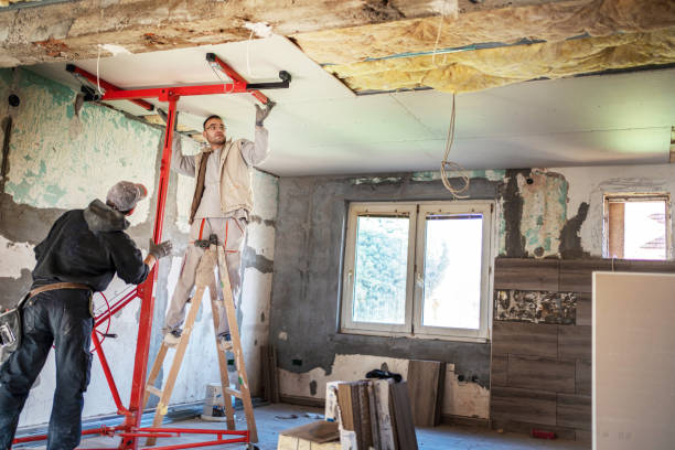 Best Fiberglass Insulation  in Lindsay, TX